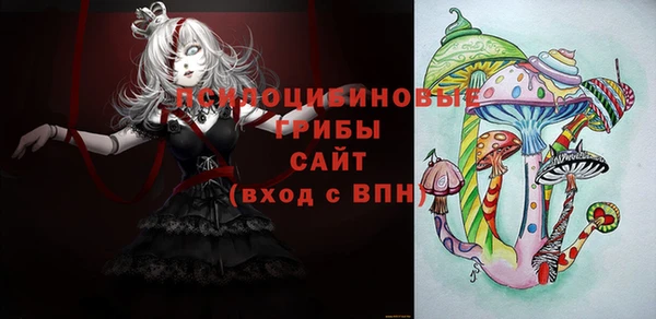 прущий лед Вязники