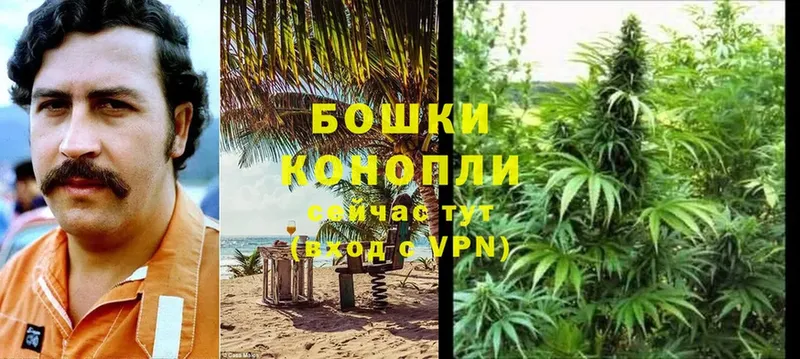 кракен как войти  что такое наркотик  Лодейное Поле  Марихуана THC 21% 